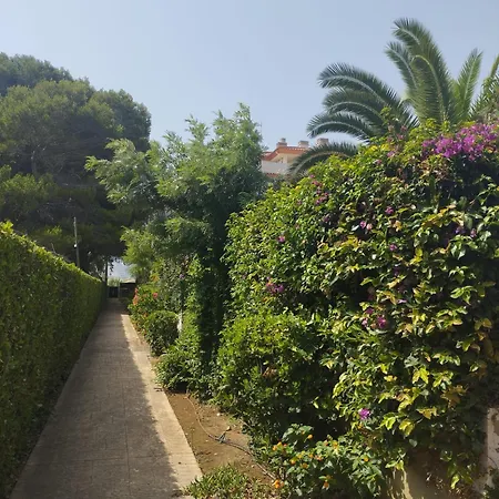 Paradis Entre Et Montagne Daire